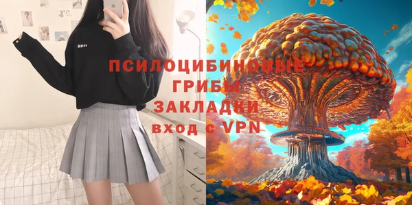 ПСИЛОЦИБИНОВЫЕ ГРИБЫ Балахна