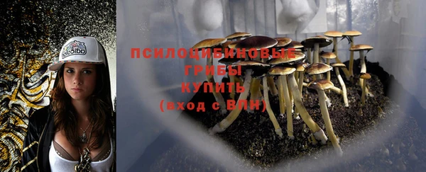 ПСИЛОЦИБИНОВЫЕ ГРИБЫ Балахна