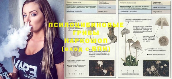 ПСИЛОЦИБИНОВЫЕ ГРИБЫ Балабаново