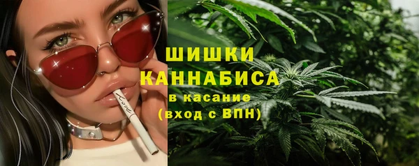 ПСИЛОЦИБИНОВЫЕ ГРИБЫ Балахна