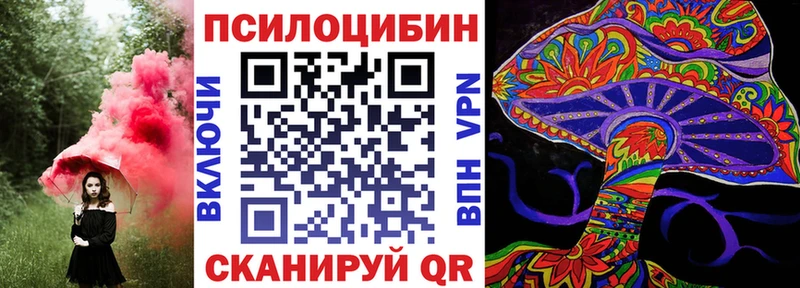 kraken ссылки  цены   Волгореченск  Псилоцибиновые грибы ЛСД 